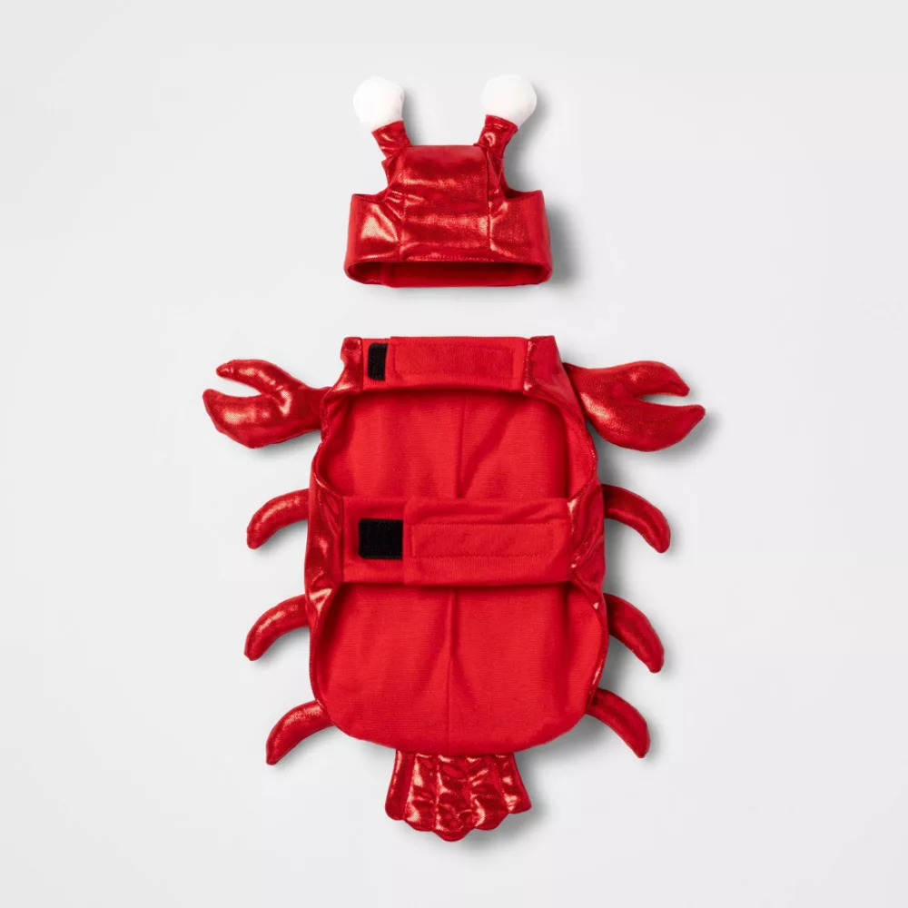 Nwot Size M Lobster Dog and Cat Costume - Picture 4 of 10